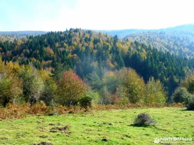 Selva Irati-Pirineo Navarro-Puente del Pilar; alimentación para senderismo como empezar a hacer sen